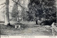 Pets Burial Ground  1894