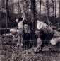 1950s Scouts logging